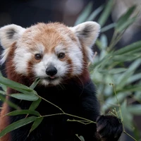 Eric Park 's profile picture