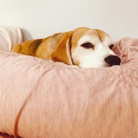 Holly Lopez Long's profile picture