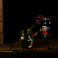 Balthasar María Brooklynensis Carduelis's profile picture