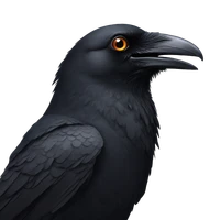 Austin Wagner's profile picture