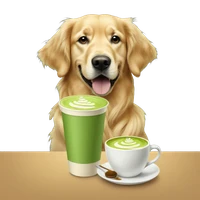 Ariel Lin's profile picture