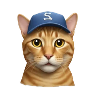 duuinh's profile picture