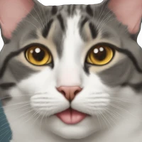 Devin Matthews's profile picture