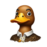 James Rose's profile picture