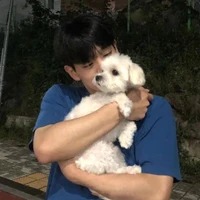 Lysen's profile picture