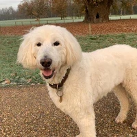 Mike Smith's profile picture