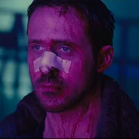 Mohammed Zayan Shameer's profile picture